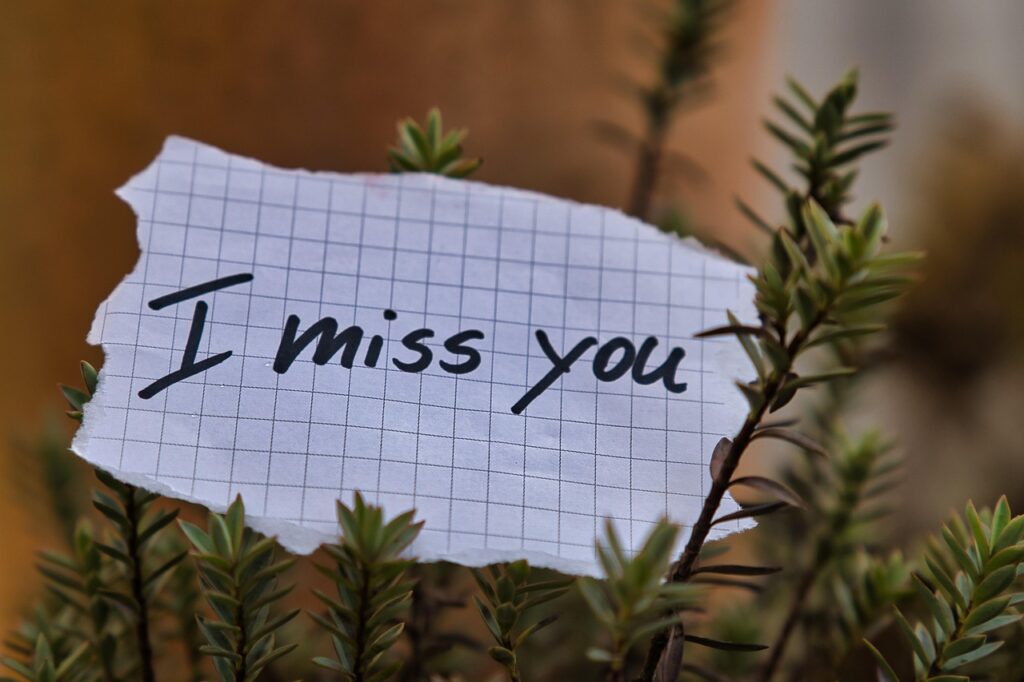 miss, nature, nostalgia, note, message, love, romantic, separation, plant, grief